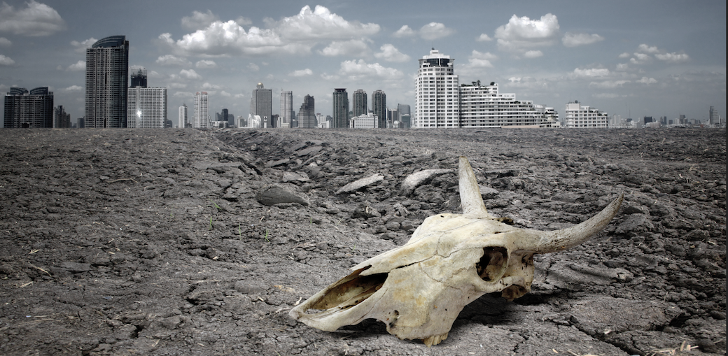 The Final Gestalt: Are You Ready for the Reckoning? The truth about the collapse of our air-conditioned sanctuaries. The Final Gestalt: Are You Ready for the Reckoning? The coming societal and environmental crises demand our attention and action.