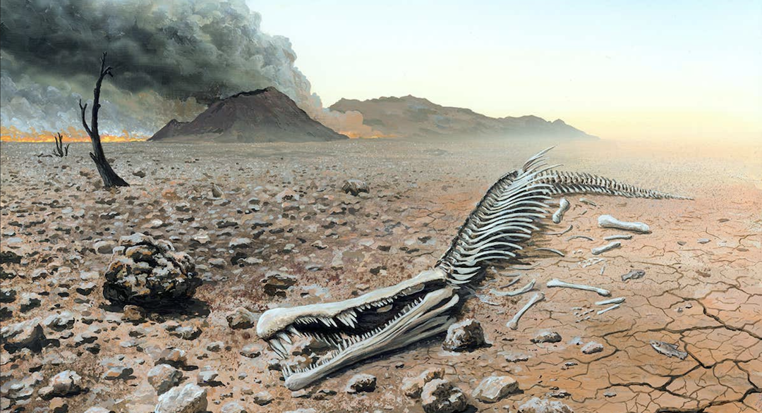 The Final Gestalt: Are You Ready for the Reckoning? The truth about the collapse of our air-conditioned sanctuaries. The Final Gestalt: Are You Ready for the Reckoning? The coming societal and environmental crises demand our attention and action.