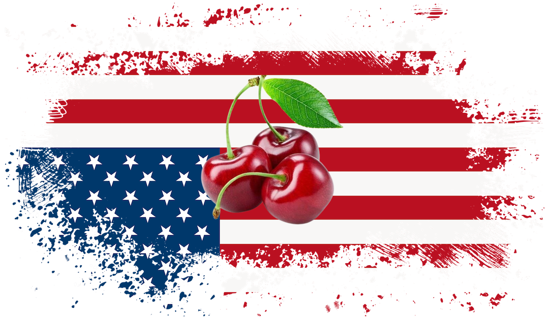 The Death of the Eisenhower Dream: How the 'American Way of Life' Was Replaced by Oppression and Fear The Myth of American Values: Eisenhower Era, Nixon, and the Decline of the American Dream