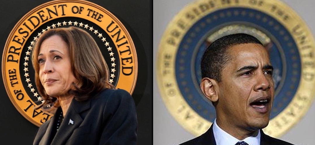 Barack Obama, Kamala Harris, identity politics, governance, civil liberties, political analysis, hope and change