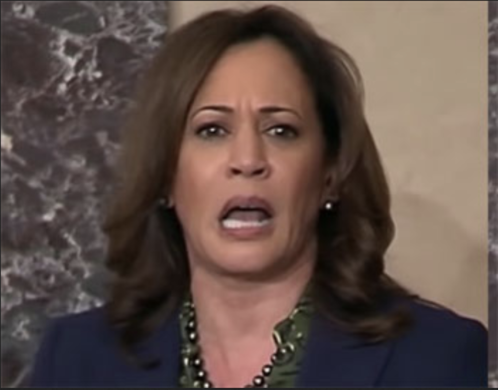 Kamala Harris, security, criminal justice reform, national security, police misconduct, immigration, surveillance, civil rights