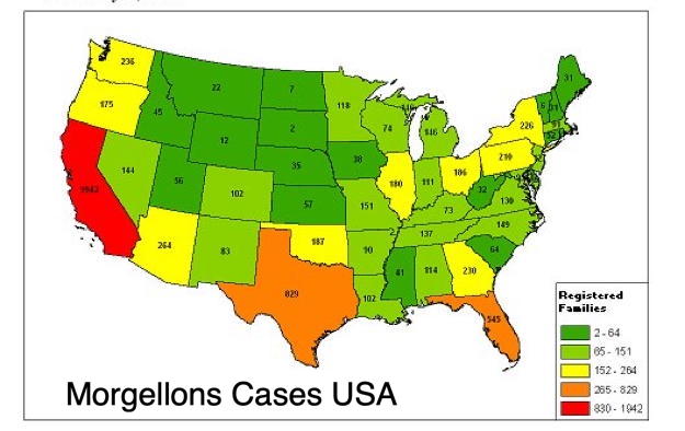 fibers morgellons disease skin victims lesions threads scientists fluorescent human cellulose man-made disease body strange fuzzy 
properties symptoms bacteria wounds