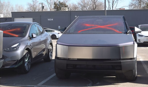 The Fall of Tesla: Musk's Monopoly, Trump's Politicking, and a Growing Rebellion