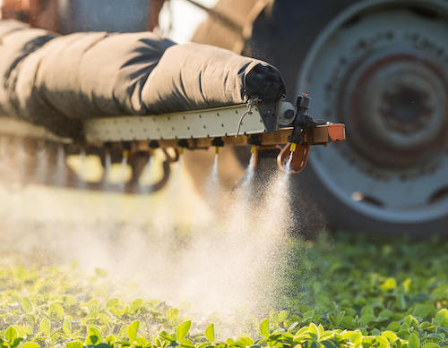 trader joes pesticde residue gmos roundup food poisoning